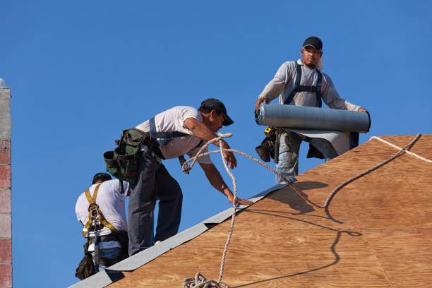 Roof Waterproofing Services in Madelia, MN