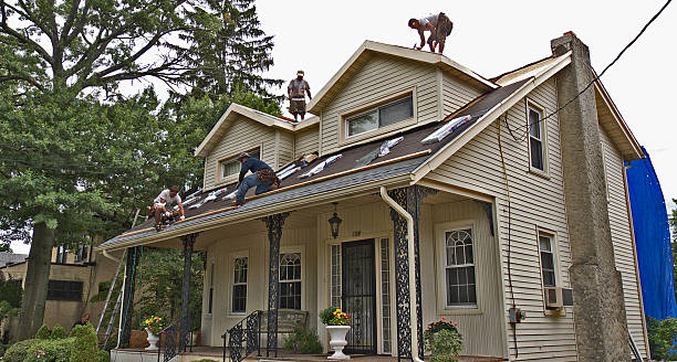 Best Local Roofing Companies  in Madelia, MN